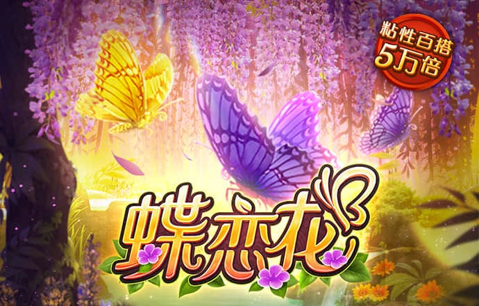 新博狗网